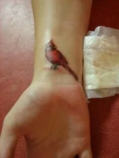 cardinal beautiful bird tattoo design
